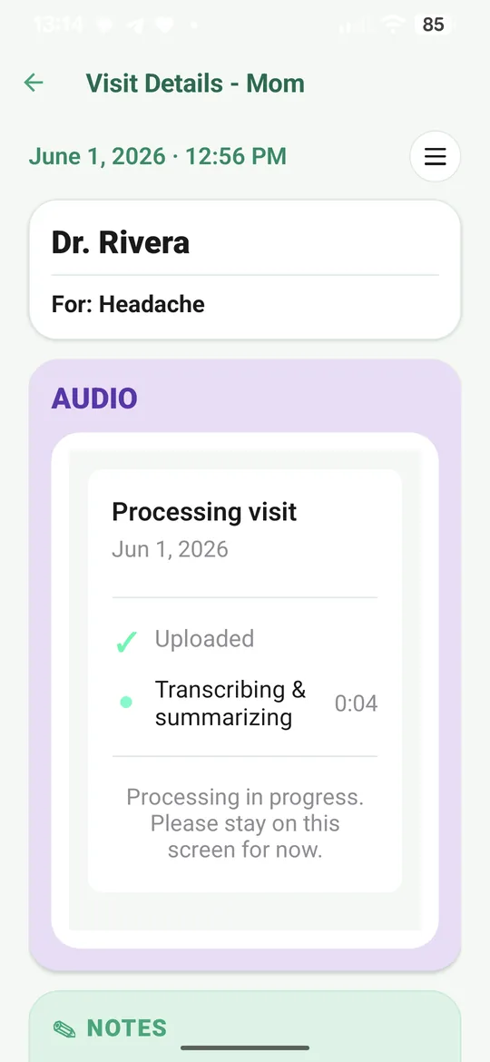 Recording a visit with the appointment details and capture flow visible
